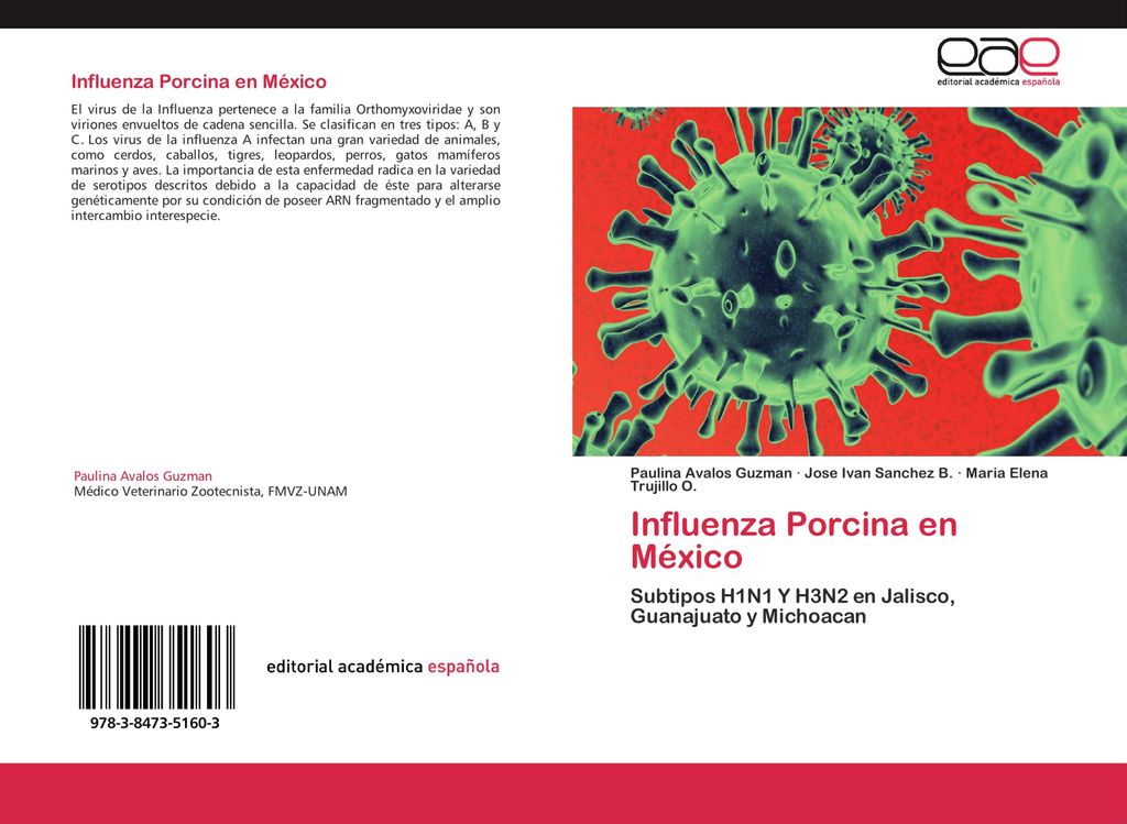 Influenza Porcina en México