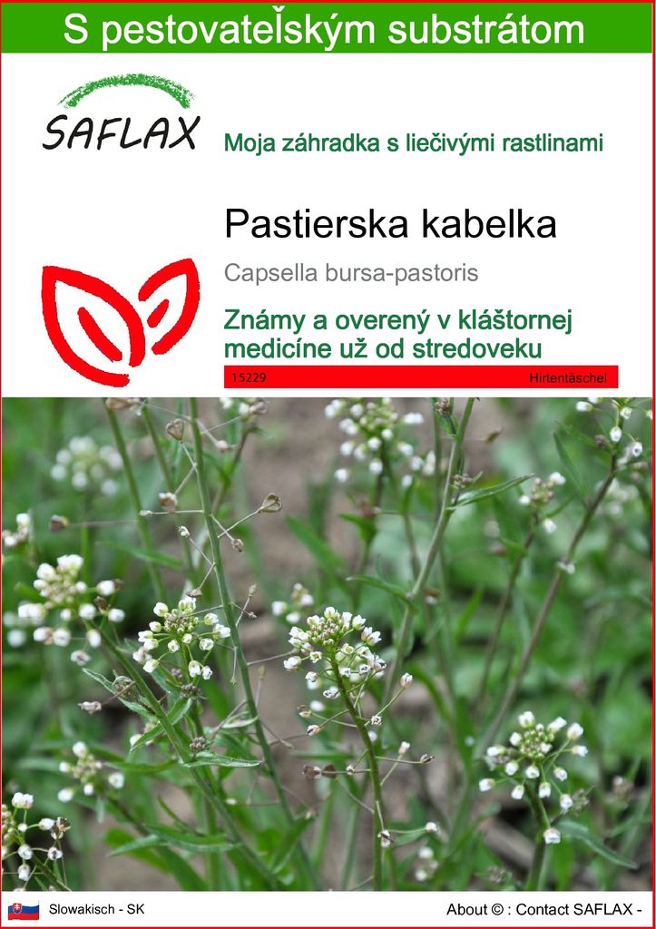 SAFLAX - pastierska kabelka - Capsella bursa-pastoris - Obrázok produktu 