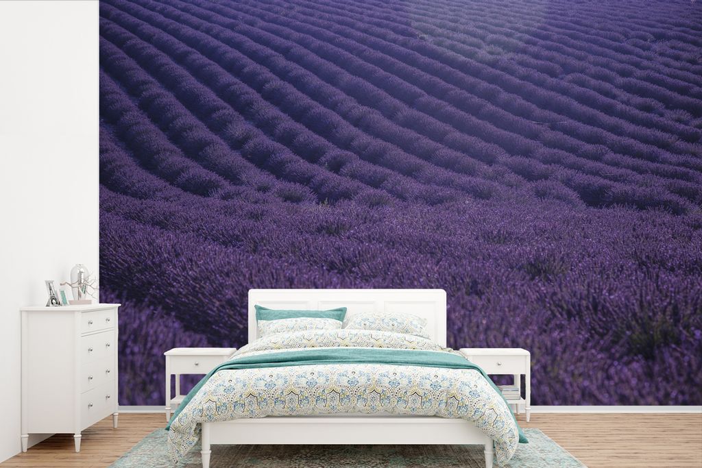 MuchoWow Fototapete für Wohnzimmer oder Schlafzimmer Wandtapete Vinyl Motivtapete Blühendes Lavendelfeld auf sanften Hügeln - 525x350 cm - Das...