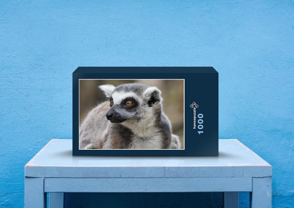 hansepuzzle 54324 - Lemur Puzzle, 1000 Teile, Tierwelt, 60,0 x 46,0cm mit hochwertiger Aufbewahrung, Kartonbox und wiederverschließbarem Beutel