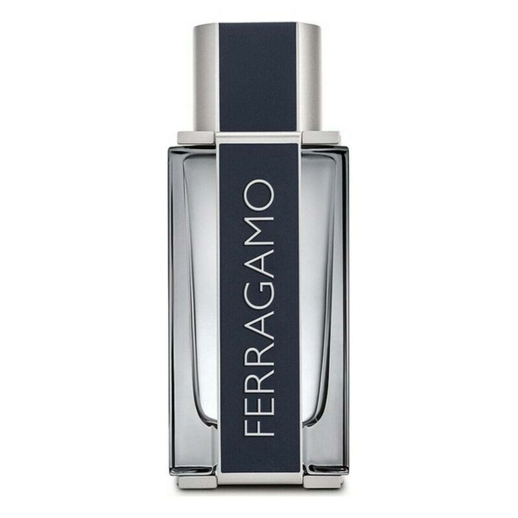 Salvatore Ferragamo Ferragamo toaletná voda pre mužov 100 Obrázok produktu 