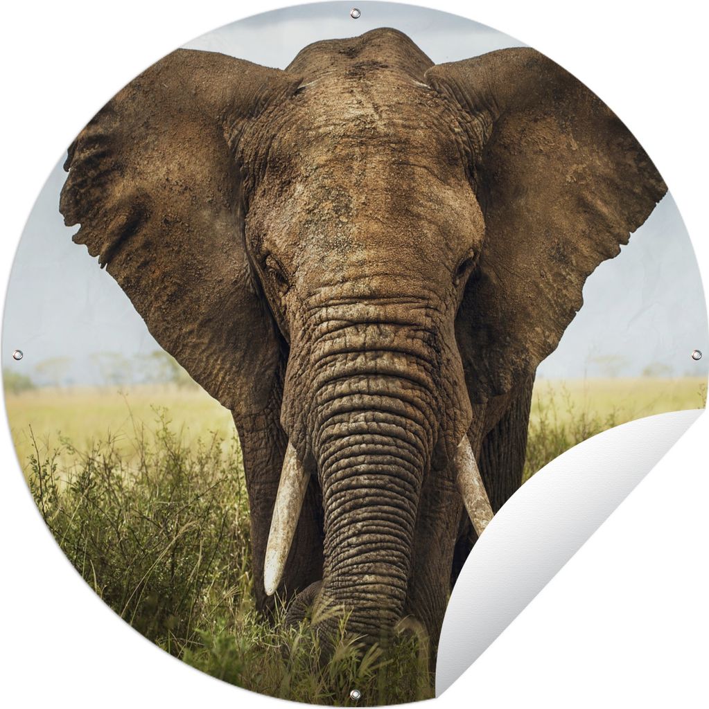 MuchoWow Gartenposter Outdoor-Poster Rund Bedrohung für den Elefanten Ø 90 cm Gartendeko Rundes Poster draußen