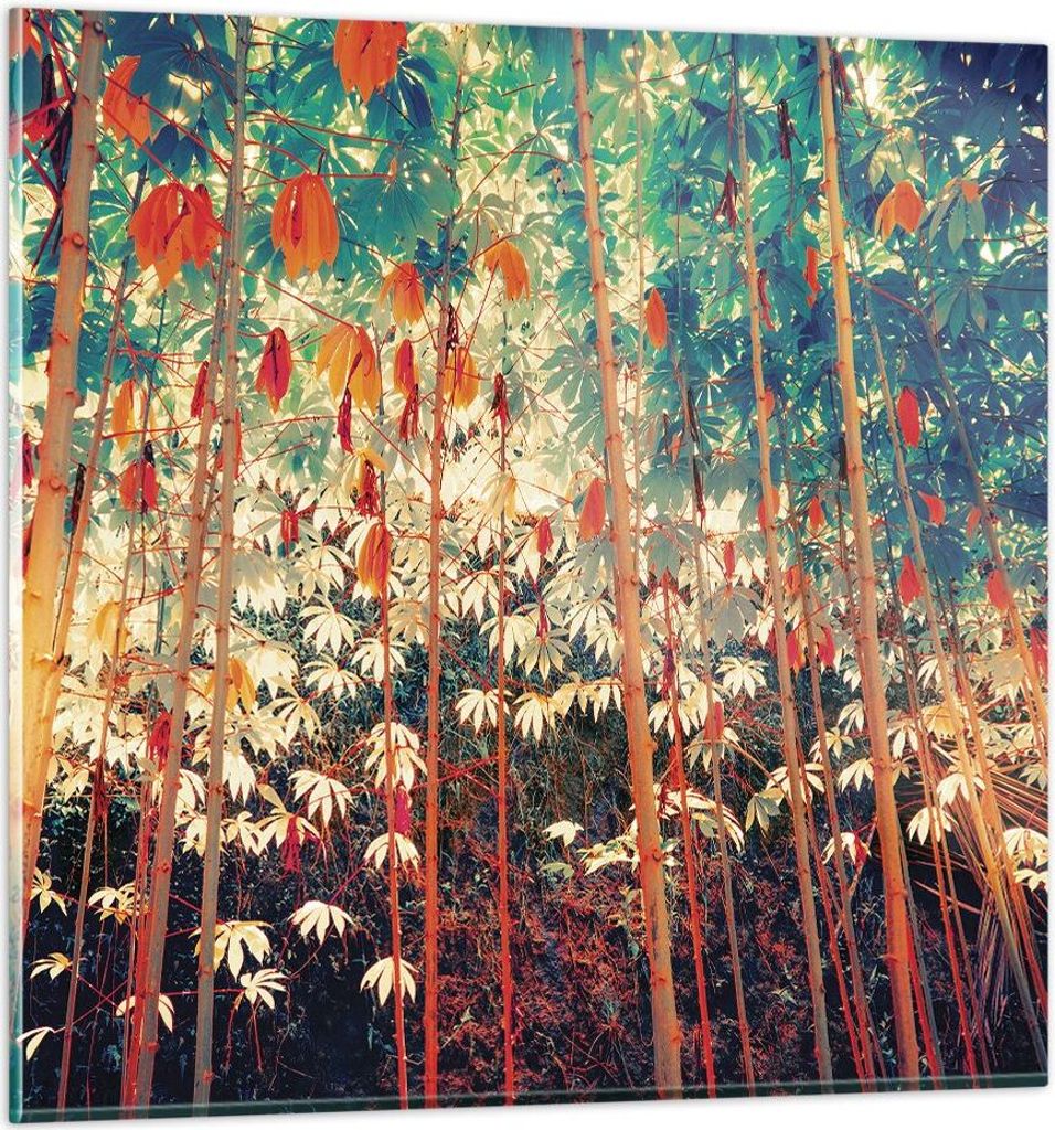 Bilder auf glas - Einteilig - Pflanzen tropisch orange - 30x30cm - Glasbilder - Wandbilder - Bilder - zum Aufhängen bereit - Wanddekoration aus Gl...