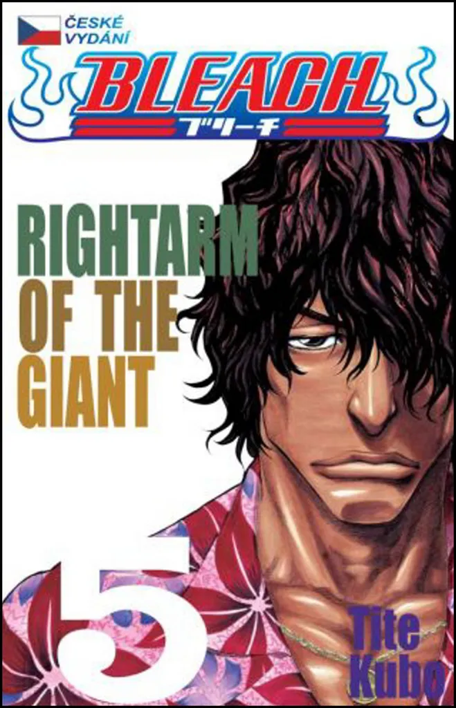 Bleach 5 Right Arm of the Giant Manga avec Couverture Illustrée par Tite Kubo
