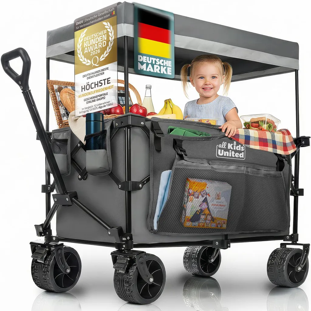 Bollerwagen Pliable Gris - Chariot de Transport Robuste Tout-Terrain