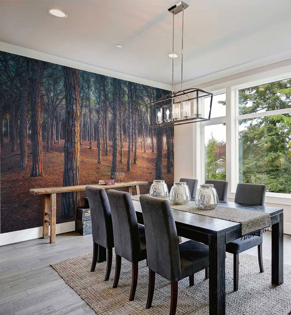 Fototapete Kiefernholz Wald, Material:Superior Vlies 350g/qm, Größe Tapete:260 x 260cm