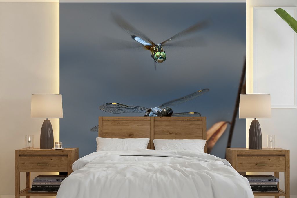 MuchoWow Fototapete für Wohnzimmer oder Schlafzimmer Wandtapete Vinyl Motivtapete Zwei fliegende Libellen - 240x240 cm - Schlafzimmer-Tapete