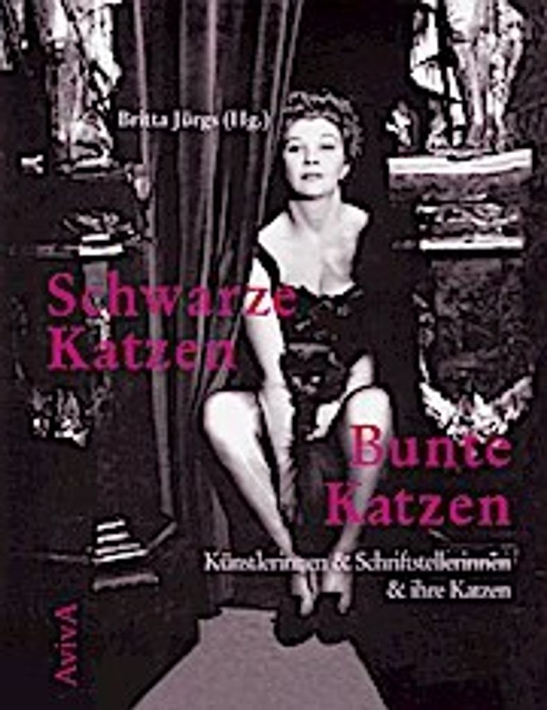 Schwarze Katzen - Bunte Katzen