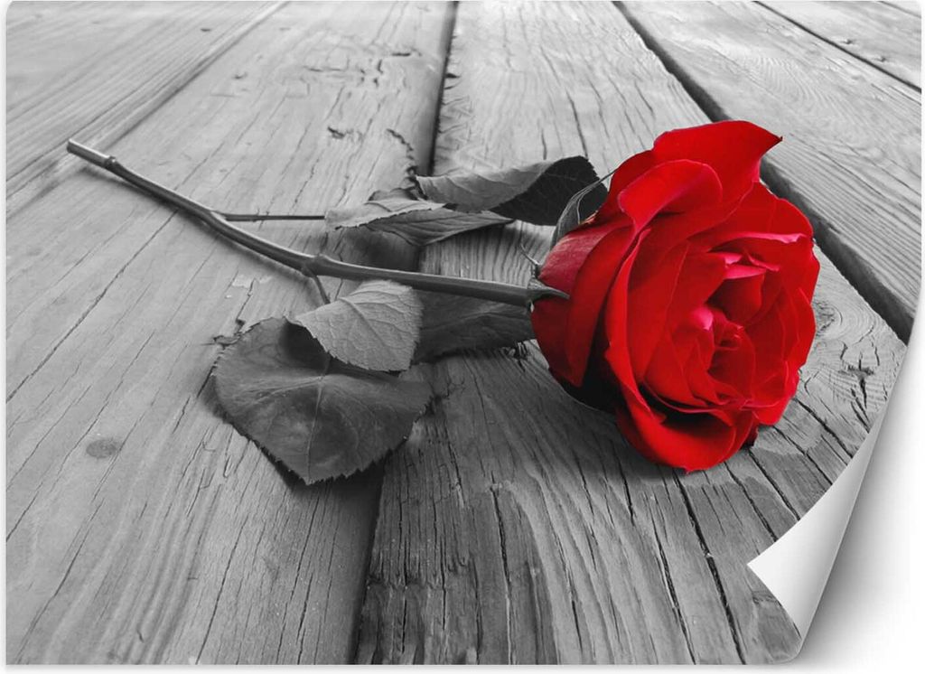 Vlies fototapete Rote Rose auf einem Steg 300x210 cm Feeby Rot inkl. Kleber einfache Montage