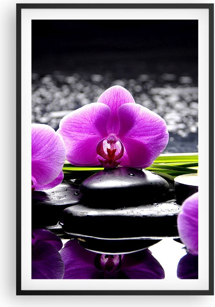 Gerahmtes Poster - Schwarzer Rahmen - Orchidee Natur Wasser Blume - 61x91,5 cm - Wand Bild - Wanddeko - Wandbilder - Wandposter - Bilderrahmen - Bi...