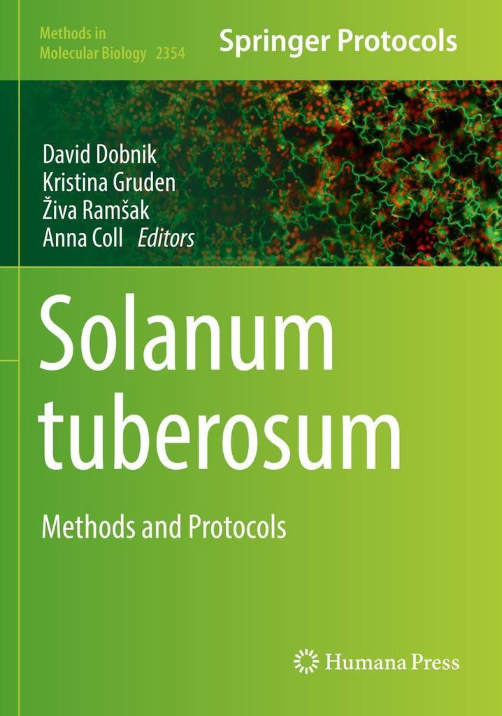 Solanum tuberosum