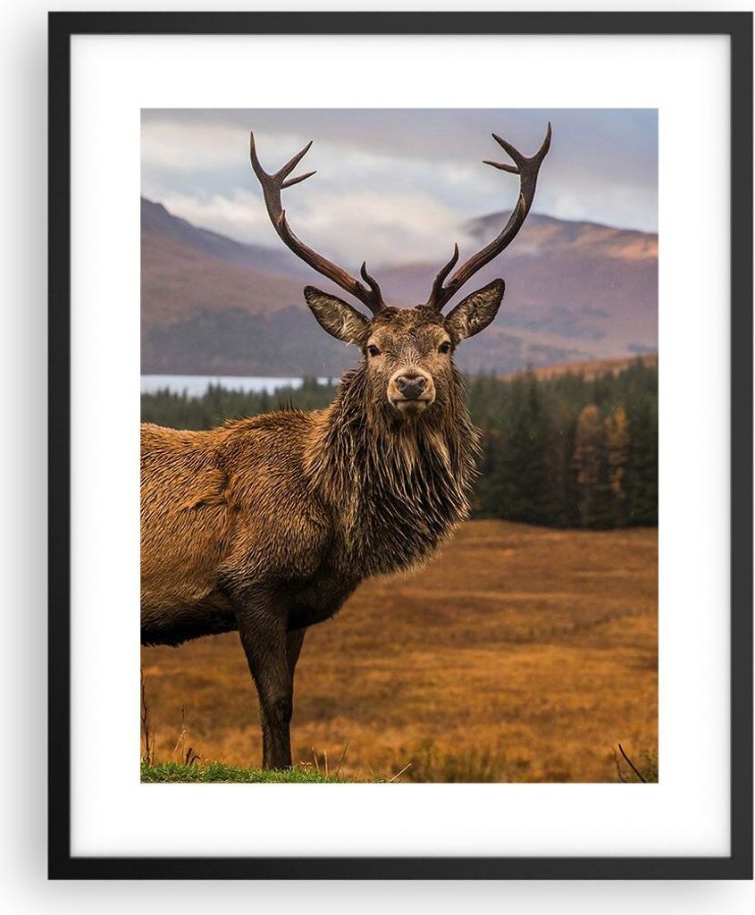 Gerahmtes Poster - Schwarzer Rahmen - Rehe Wiese Berge - 40x50 cm - Wand Bild - Wanddeko - Wandbilder - Kunstposter - Wandposter - Bilderrahmen - B...