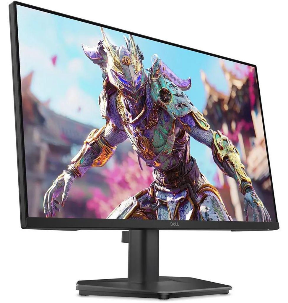 DELL SE2426HG, 60,5 cm (23.8"), 1920 x 1080 px, Full HD, Zdjęcie produktu 