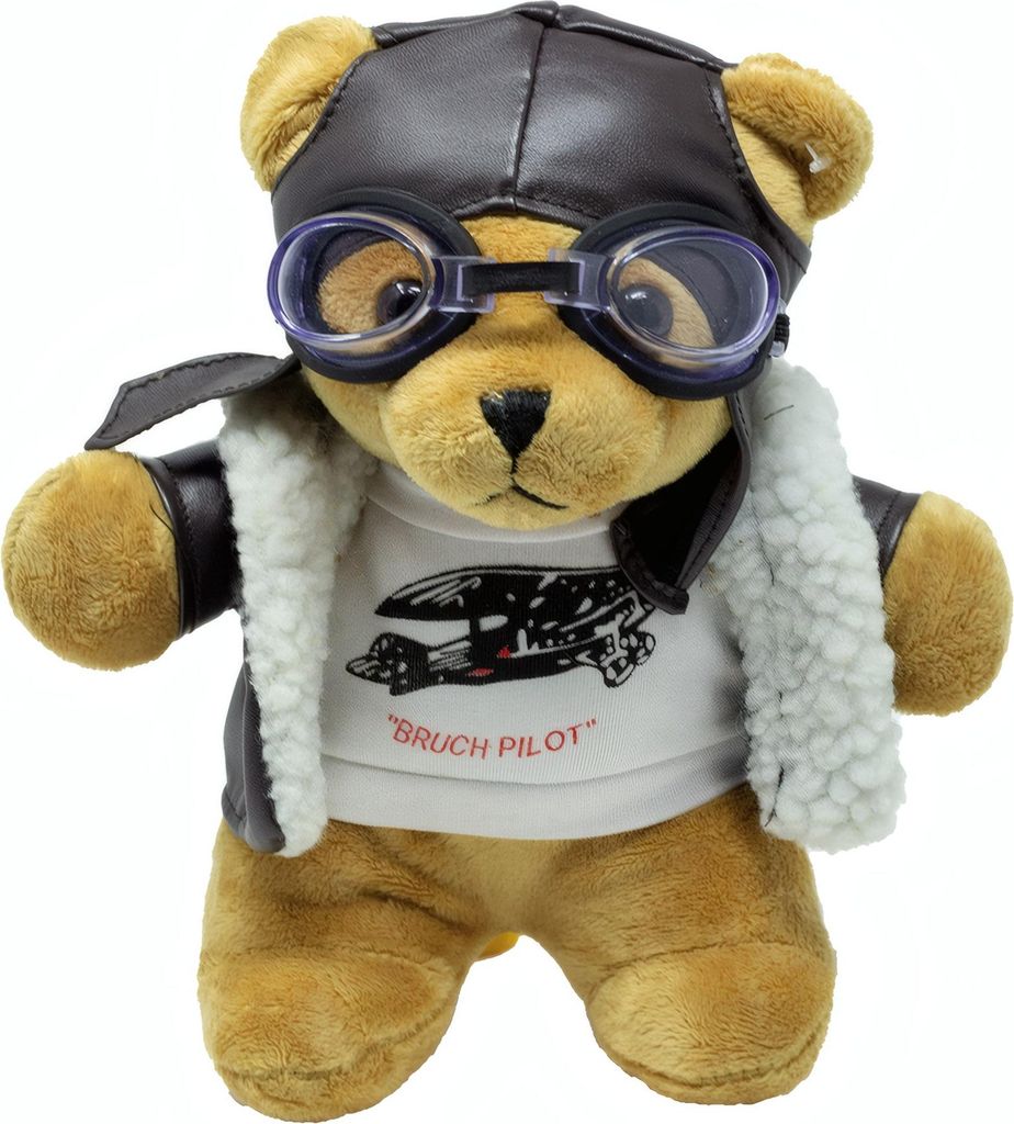 A plush teddy bear dressed as a pilot.