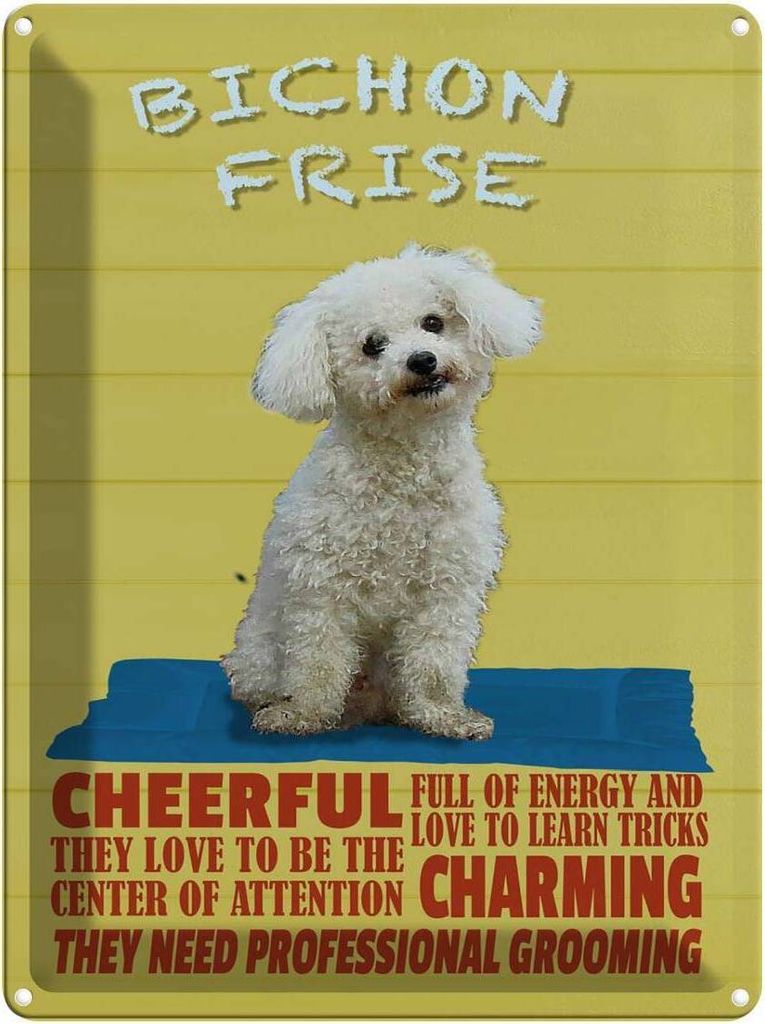 vianmo Blechschild 40x30 cm Hund Bichon Frise cheerful