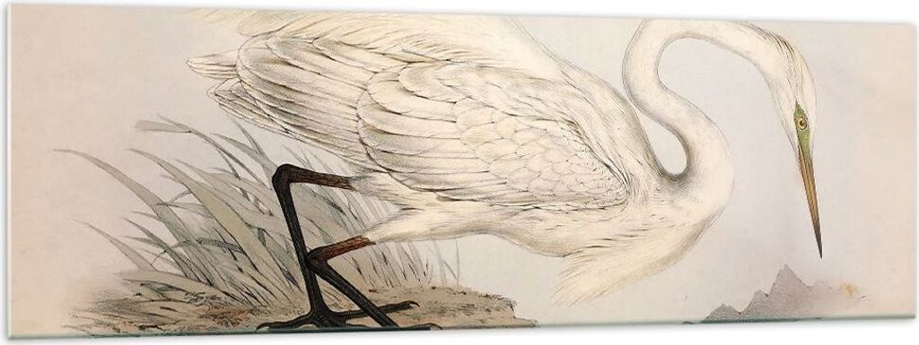 Bilder auf glas - Einteilig - Vogel Weiß Reiher - 160x50cm - Glasbilder - Wandbilder - Bilder - zum Aufhängen bereit - Wanddekoration aus Glas - ...