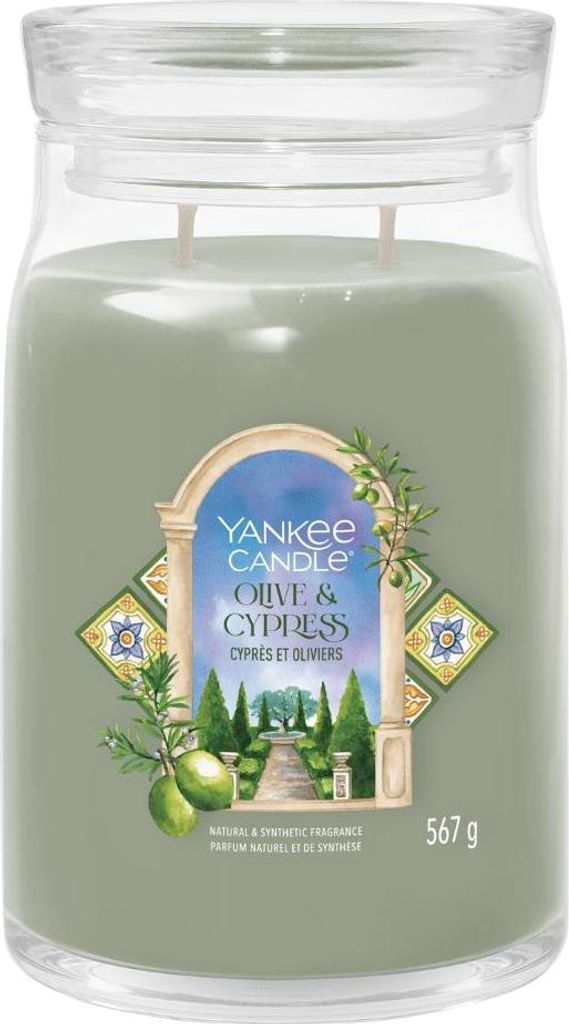 Yankee Candle Olive & Cypress, Rund, Grün, Transparent, Cypress, Olive, 1 Stück(e)