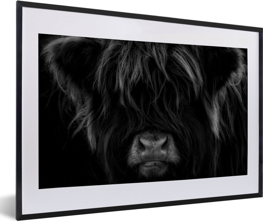 MuchoWow Gerahmtes Poster Schottischer Highlander - Kuh - Schwarz - Weiß - Porträt 60x40 cm - Poster mit Schwarzem Bilderrahmen Wandposter Rahm...