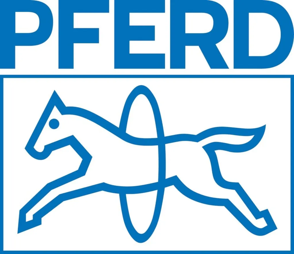 Rondella Dentata PFERD POLIFAN Z 125mm SGP CURVE - Disponibile Ora