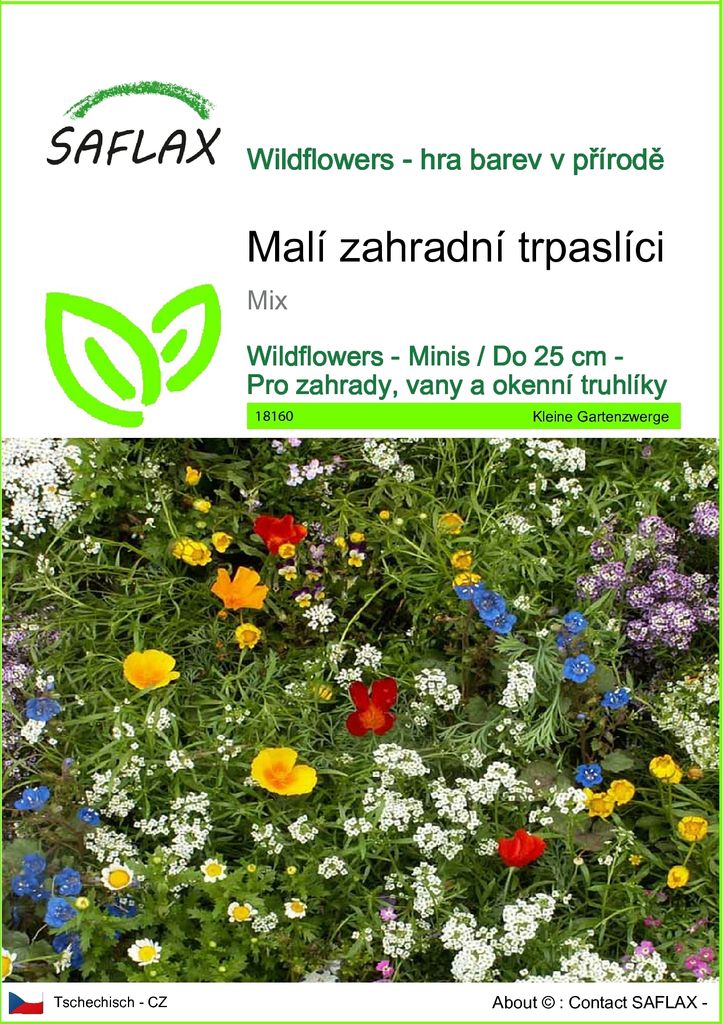 SAFLAX - Malí zahradní trpaslíci - Mix - 1000 Semena Obrázek produktu 