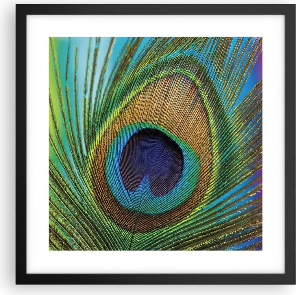 Gerahmtes Poster - Schwarzer Rahmen - Pfauen Federn Regenbogen - 40x40 cm - Wand Bild - Wanddeko - Wandbilder - Kunstposter - Wandposter - Bilderra...