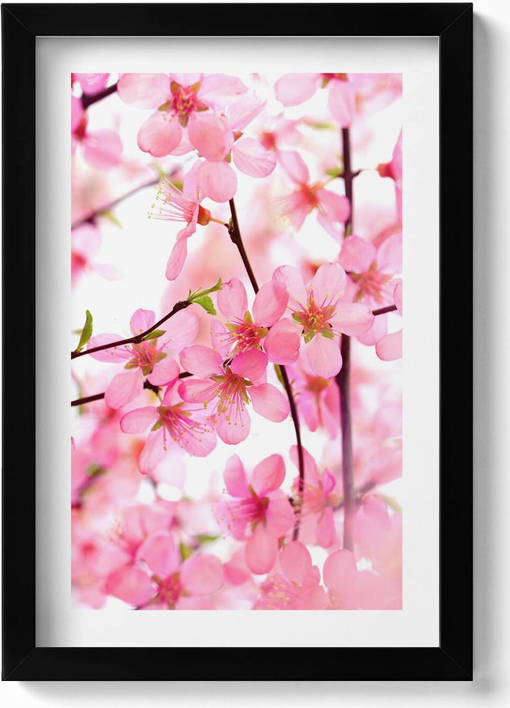 Rosa Frühlingsblumen an den Zweigen– Wandbild mit Rahmen – Gerahmtes Bild – Wanddekoration – 20x30 cm – Schwarz