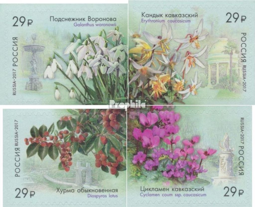 Briefmarken Russland 2017 Mi 2424-2427 (kompl.Ausg.) postfrisch Einheimische Flora