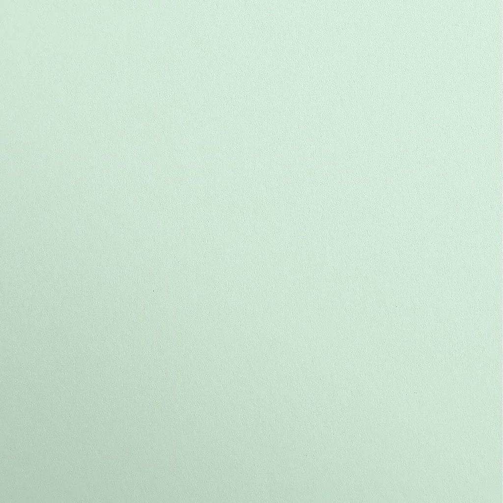 Clairefontaine Tonpapier 50x70 lindgrün 25Bg 3329681971681
