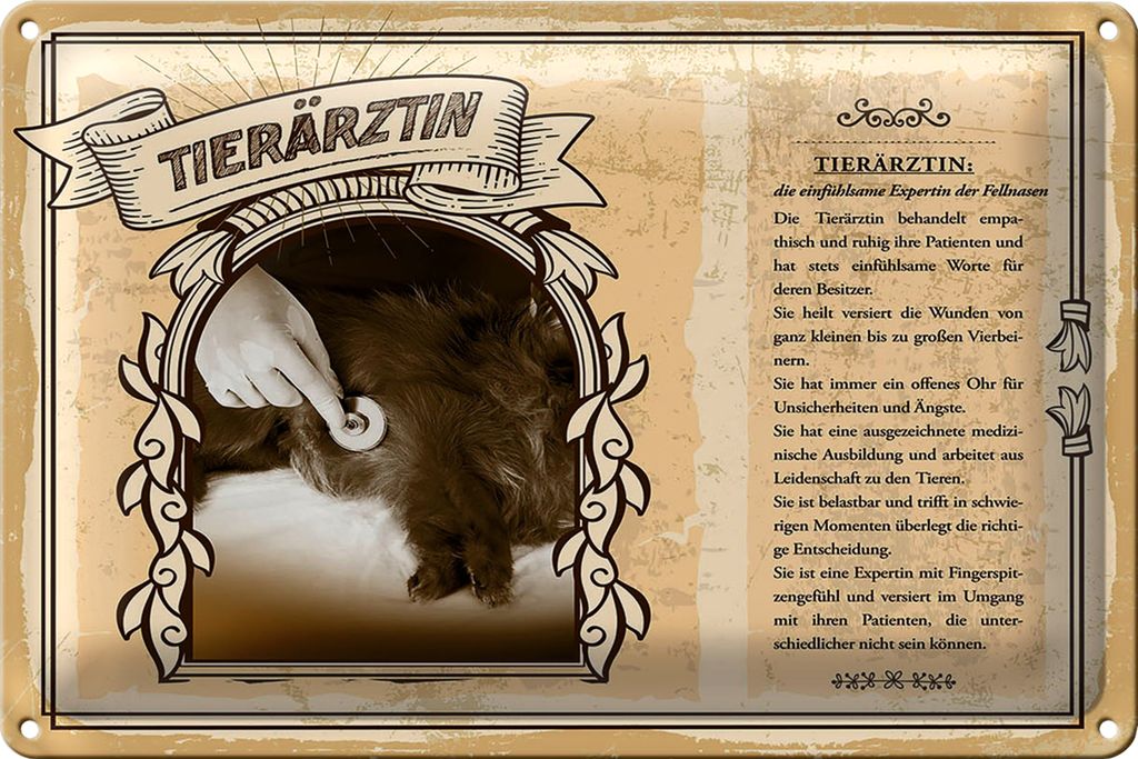 Blechschild Berufe Tierärztin behandelt ruhig Tiere 30x20cm