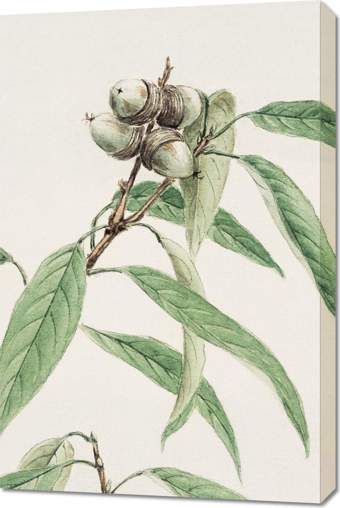 Bild 60x90cm Kashi, Morikaga Japanisch Vintage für das Wohnzimmer