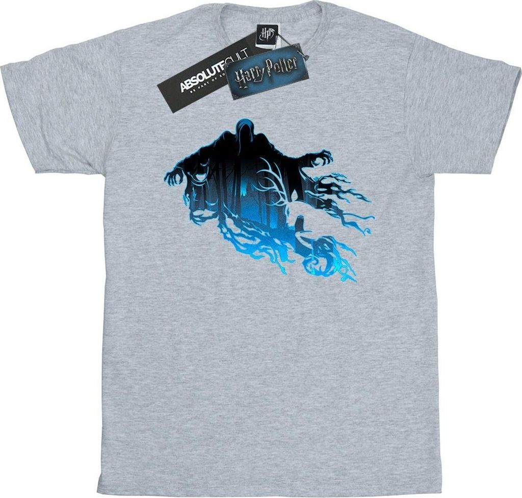 Harry Potter - T-Shirt für Herren BI29596 (S) (Grau)