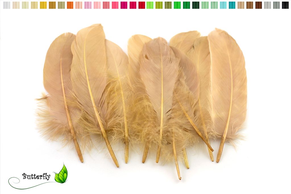 10 Gänsefedern 15-20cm, Farbauswahl:sand / beige / natur Produktbild 