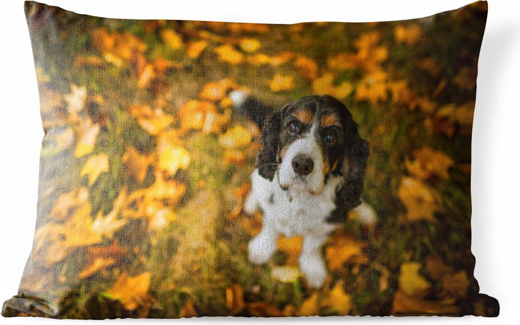 MuchoWow Outdoor Kissen - Cavalier King Charles Spaniel zwischen gelben und orangefarbenen Herbstblättern - 60x40 cm - Wetterfest - Lounge Kisse...