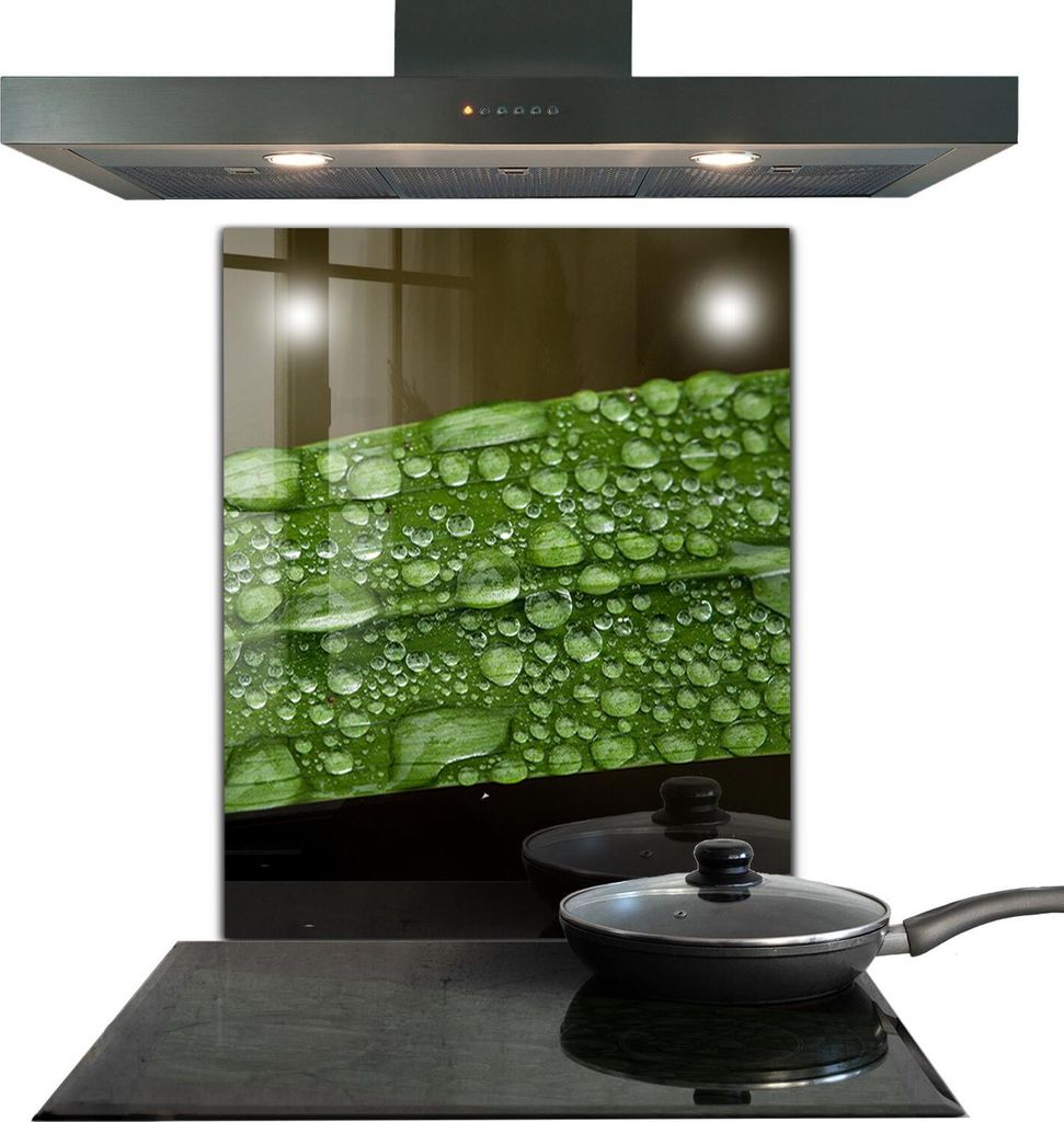 Spritzschutz aus Glas Küchenrückwand - Wandschutz für Herd und Spüle - 60x80 cm - Grünes Blatt nach Regen