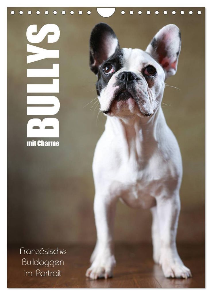 Bullys mit Charme - Französische Bulldoggen im Portrait (Wandkalender 2027 DIN A4 hoch), CALVENDO Monatskalender