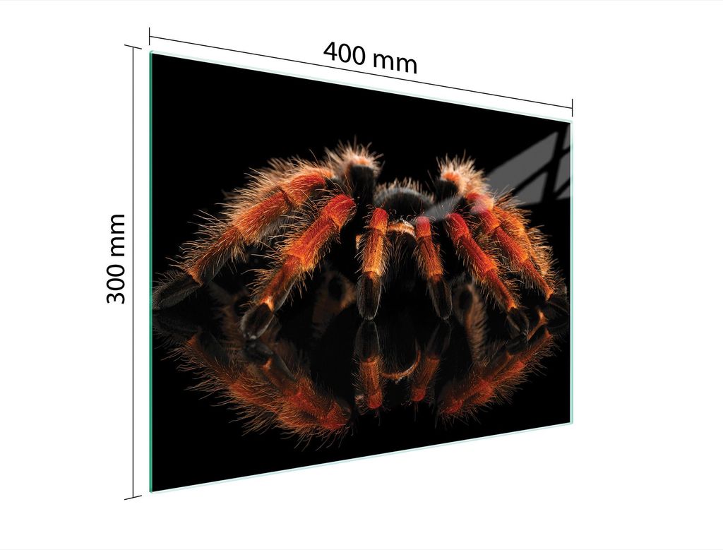 Schneidebrett Herdabdeckplatte Multiglasschneidplatte 40x30 cm Spinne Schwarz