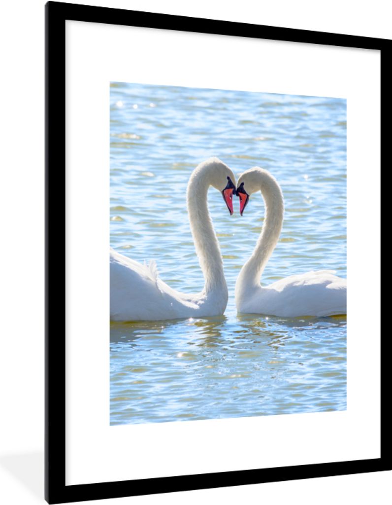 MuchoWow® Gerahmtes Poster Vögel - Schwan - Wasser - Liebe Produktbild 