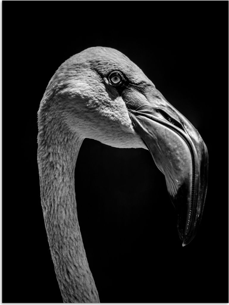 MuchoWow Poster Tierporträt Flamingo in schwarz und weiß 120x160 cm - Wandbilder