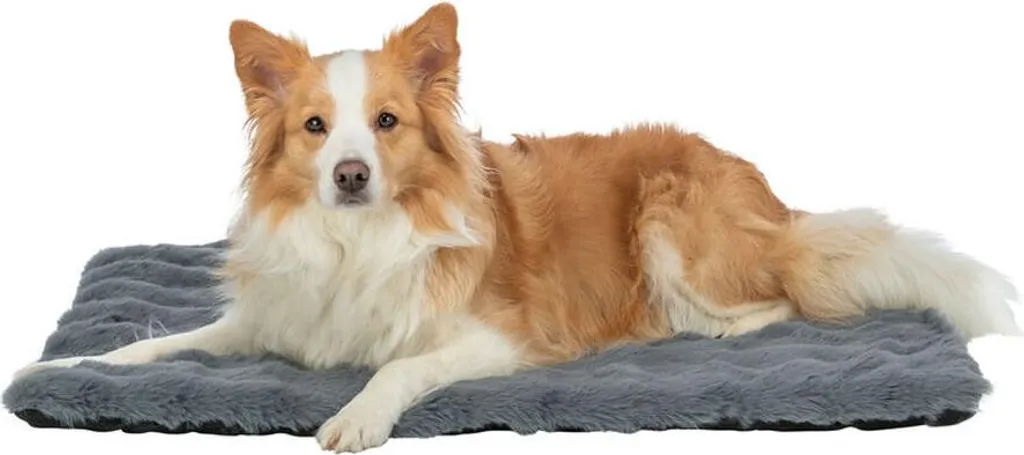 Matelas pour Chien Trixie Elli 110 x 80 cm Gris Idéal pour Grand Panier ou Sol