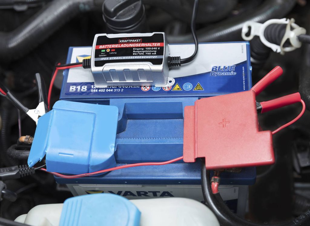 Dino Kraftpaket Batterie Erhaltungsgerät Produktbild 14
