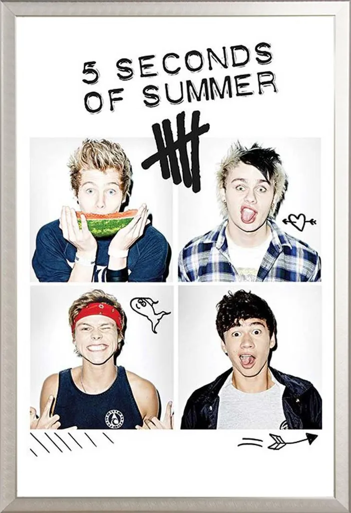 Decorazione Parete 5SOS: Poster con Cornice Shinsuke Alluminio Argento