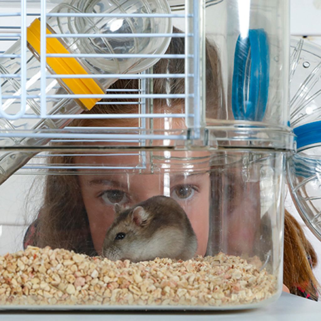 Klec křeček Rody 3 DUO modrá 41x27x40,5cm | Kaufland.cz