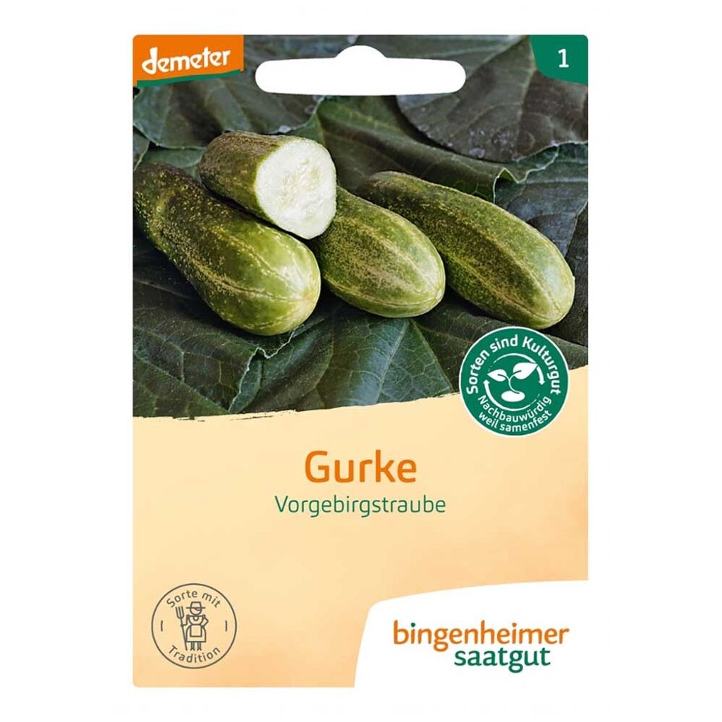 Saatgut Gurke 'Vorgebirgstrauben' Einlegegurke, robust, festes Fleisch, für ca. 25 Pflanzen