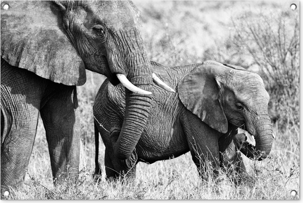 MuchoWow