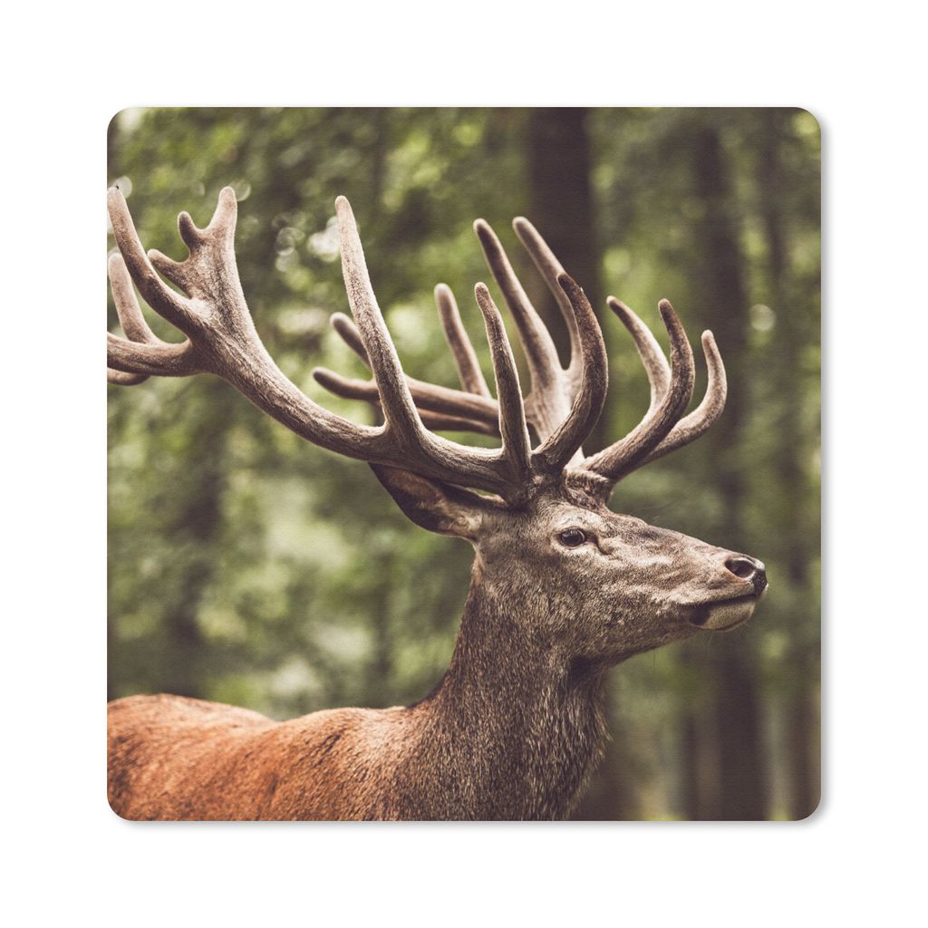 MuchoWow Mauspad Mousepad Hirsch - Natur - Geweih - Wald - Tiere 20x20 cm - Mousepads - Maus Mat - Pad - Mausunterlage - Desk Mat - Bureauartikeln