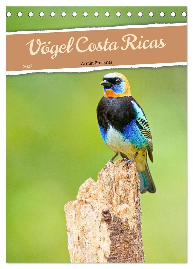 Vögel Costa Ricas (Tischkalender 2027 DIN A5 hoch), CALVENDO Monatskalender