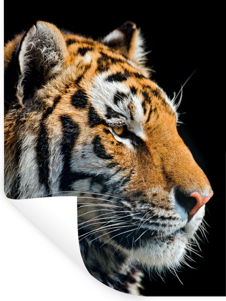 MuchoWow Wandtattoo Wandsticker Wandaufkleber Tiger - Kopf - Schwarz 30x40 cm Selbstklebend und Repositionierbar - Sticker - Dekorfolie