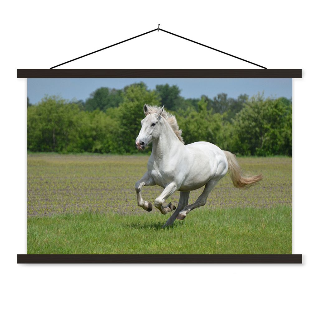 MuchoWow Textilposter Pferde - Natur - Weiß 120x80 cm mit schwarzem Rahmen - Wanddeko