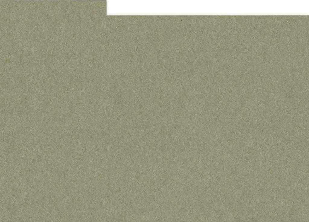 HNFD 10 Trennblätter für Fotoalbum 15 x 20 cm Verda Tundra