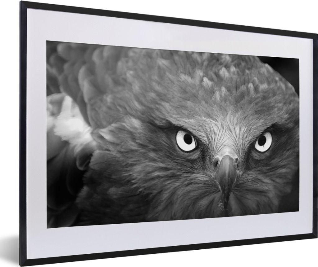 MuchoWow MuchoWow Gerahmtes Poster Adler - Schwarz - Weiß 60x40 cm - Poster mit zchwarzem Bilderrahmen - Schlafzimmer - Plakat in Rahmen - Dru...